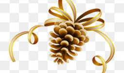 松果漫画,描绘生活的趣味与智慧